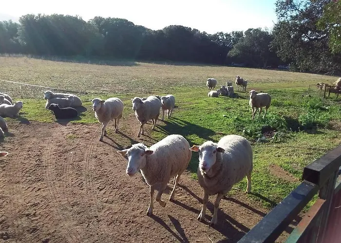 Casa-anghjulina Дом отдыха